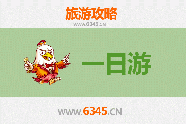 乐东万冲镇一日游全攻略：雨林探秘与黎族文化体验