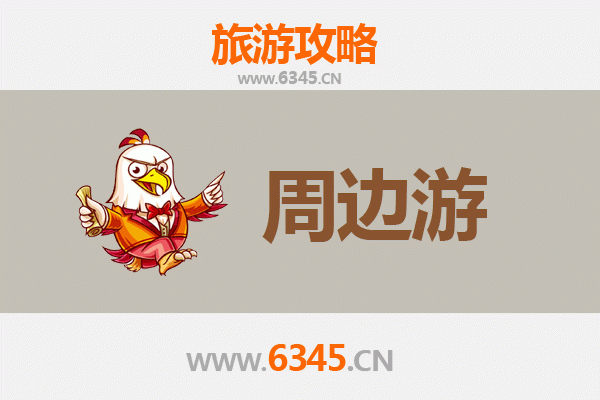 乐东万冲镇深度游：探秘黎族风情与自然奇观